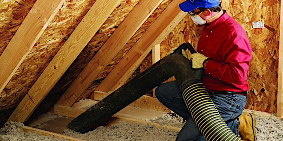 insulation removal Windsor